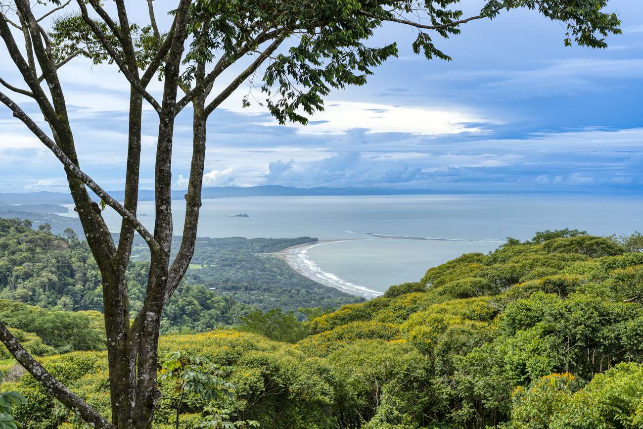 &iexcl;Que Brava! &mdash; the Whale&rsquo;s Tail from the property