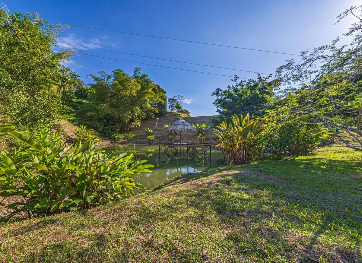 Villa Doble Vista &mdash; lawn and the grounds