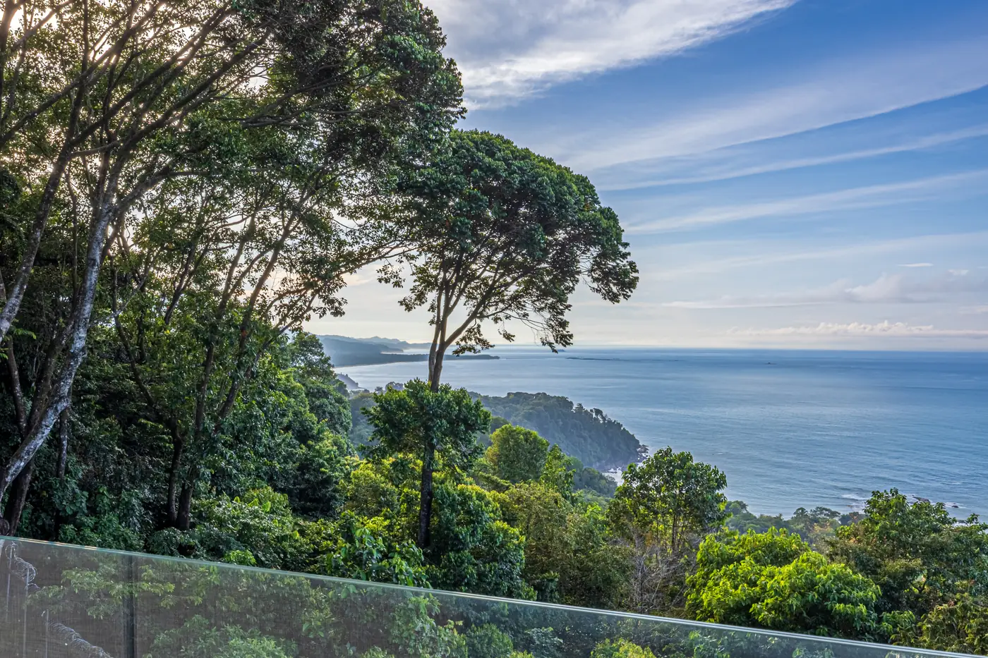 Villa San Martin &mdash; the coast seen through the trees