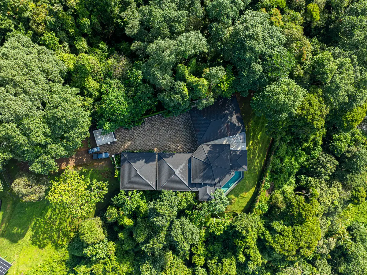 Villa San Martin &mdash; the house set in the canopy