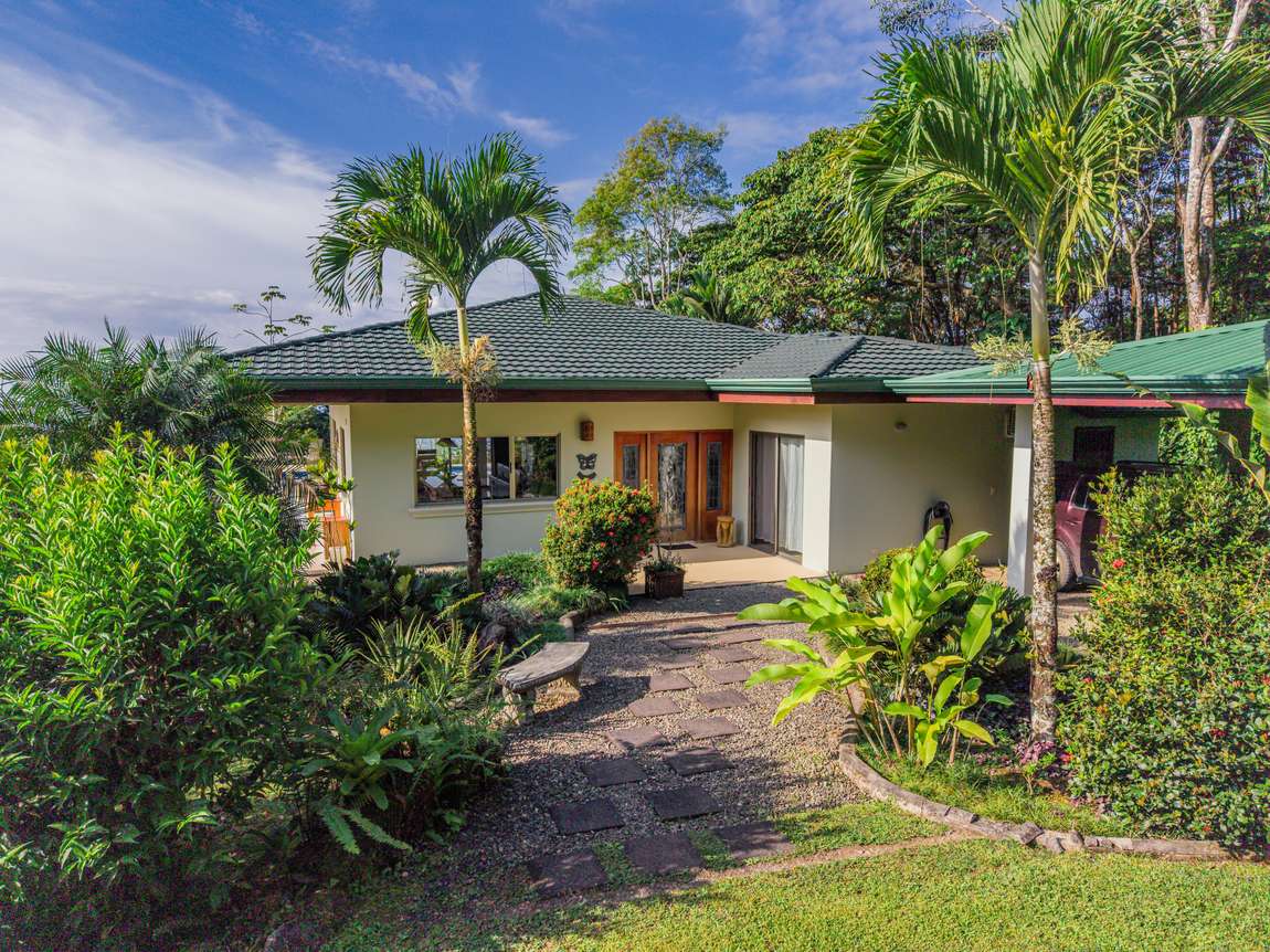 The entry to the house, screened by palms